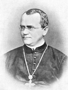 Gregor Mendel.